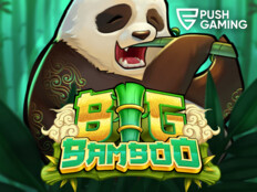 Best bet casino free slots59